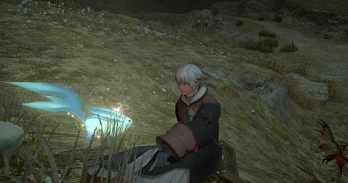 |萌|･´∀`･)ﾊｧﾊｧ 萌えぇぇ↑ 