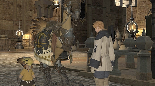 Getting my first chocobo
