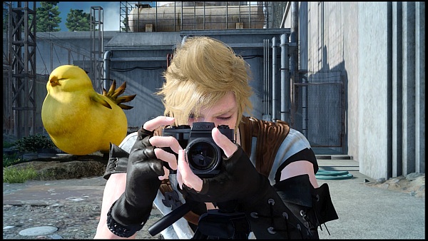 chocobo.jpg